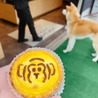 湯あがりかりんとの写真・動画_image_523349