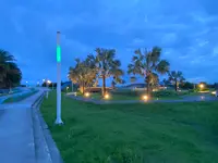 東大門國際觀光夜市の写真・動画_image_523387