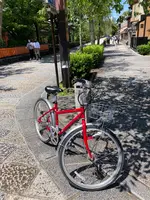 京都サイクリングツアープロジェクトの写真・動画_image_523390