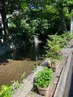 汽 [ki:] レストラン 清水五条の写真・動画_image_523394