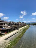 白川一本橋（行者橋）の写真・動画_image_523395