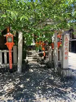 白川一本橋（行者橋）の写真・動画_image_523397