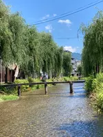 白川一本橋（行者橋）の写真・動画_image_523399