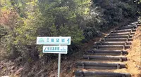 火山 展望台の写真・動画_image_523563