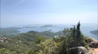 火山 展望台の写真・動画_image_523571