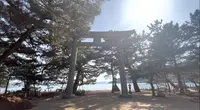 桂濱神社の写真・動画_image_523650