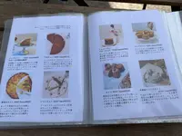 シモキタシマイの写真・動画_image_523847