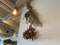 202カリー堂の写真・動画_image_523905