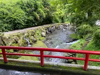 白川水源の写真・動画_image_523991