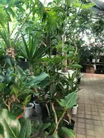 PLANTEDの写真・動画_image_524357