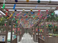 可睡斎の写真・動画_image_524701