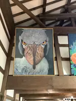 掛川花鳥園の写真・動画_image_524703