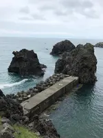 弁天岩の写真・動画_image_524845