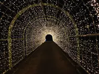 京都イルミエールの写真・動画_image_52508