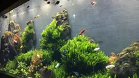 DMMかりゆし水族館の写真・動画_image_525383