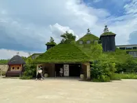 ラコリーナ近江八幡の写真・動画_image_526074