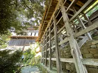 舟廊下の写真・動画_image_526153