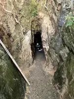 妙得龍王神社の写真・動画_image_526179