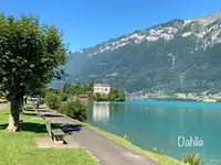 イゼルトヴァルトの写真・動画_image_526192