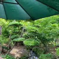 遊季庭かわ嶋の写真・動画_image_526331