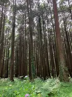 秩父宮記念公園の写真・動画_image_526332