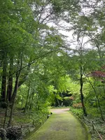 秩父宮記念公園の写真・動画_image_526333