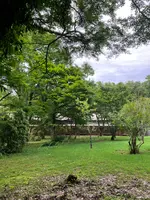 とらや工房の写真・動画_image_526337