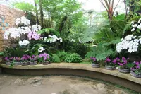 熱帯ドリームセンターの写真・動画_image_526551