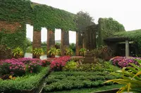 熱帯ドリームセンターの写真・動画_image_526554