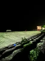 白良浜の写真・動画_image_526657