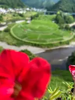 あらぎ島展望所の写真・動画_image_526665