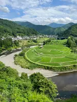 あらぎ島展望所の写真・動画_image_526666