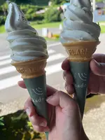 kadoの写真・動画_image_526670