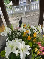 彌彦神社の写真・動画_image_526700