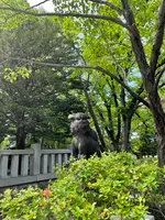 彌彦神社の写真・動画_image_526702