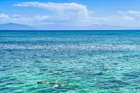 グリーン島の写真・動画_image_527140