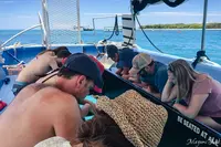 グリーン島の写真・動画_image_527141