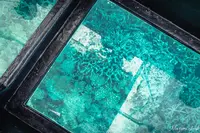 グリーン島の写真・動画_image_527142