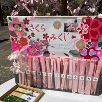 掛川城天守閣の写真・動画_image_527352