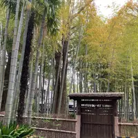 洗足池公園の写真・動画_image_527408