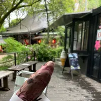 等々力渓谷の写真・動画_image_527416