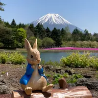 富士芝桜まつりの写真・動画_image_527449