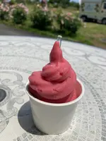 神奈川県立花と緑のふれあいセンター 花菜ガーデンの写真・動画_image_527456