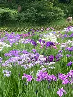 小諸そば 代々木店の写真・動画_image_527492