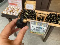 軽井沢レイクガーデンの写真・動画_image_527519