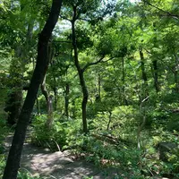 根津美術館の写真・動画_image_527539