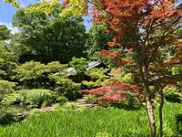 根津美術館の写真・動画_image_527544