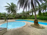 水岸森林の写真・動画_image_527747