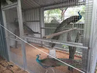 水岸森林の写真・動画_image_527874