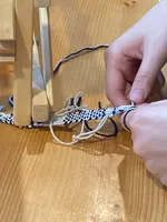 中興文化創意園区の写真・動画_image_527896